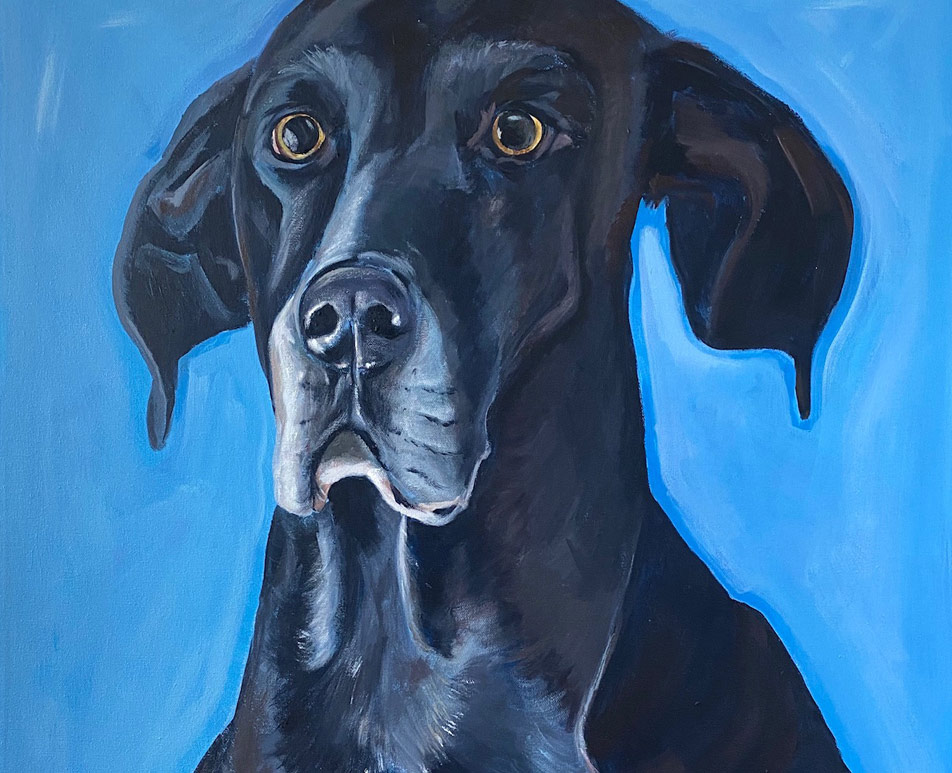 Great Dane Black Dog Pet Painting Portrait