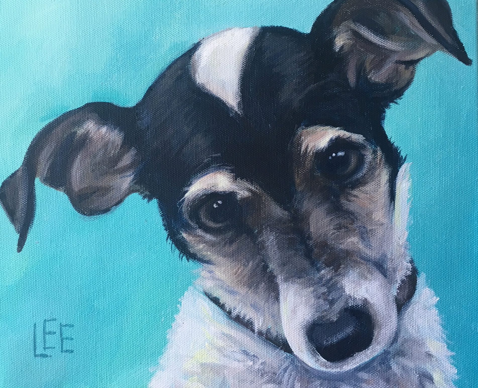 jack russell dog painting portrait